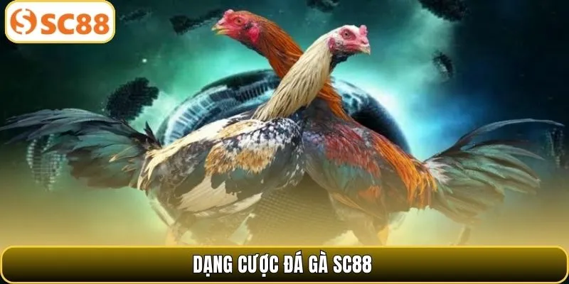 Dạng cược đá gà SC88 được nhiều người chơi lựa chọn