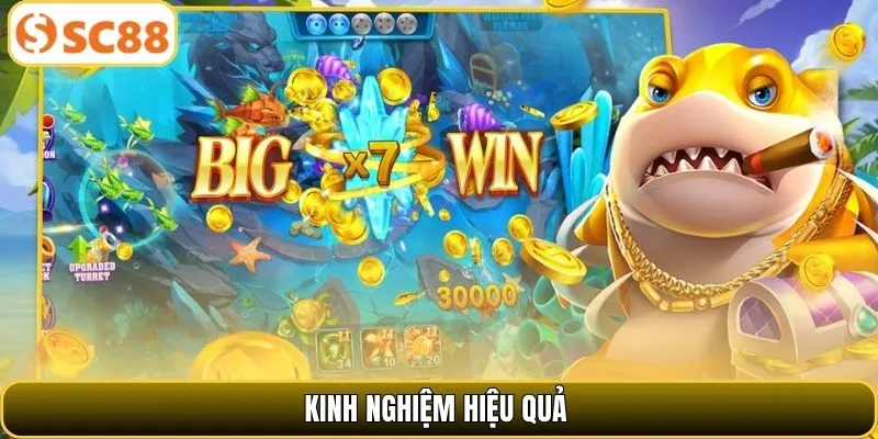 Kinh nghiệm hiệu quả