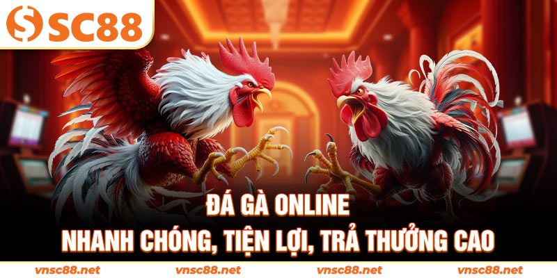 Đá gà online nhanh chóng, tiện lợi, trả thưởng cao